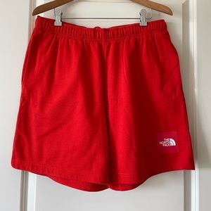 NORTH FACE Men’s Shorts